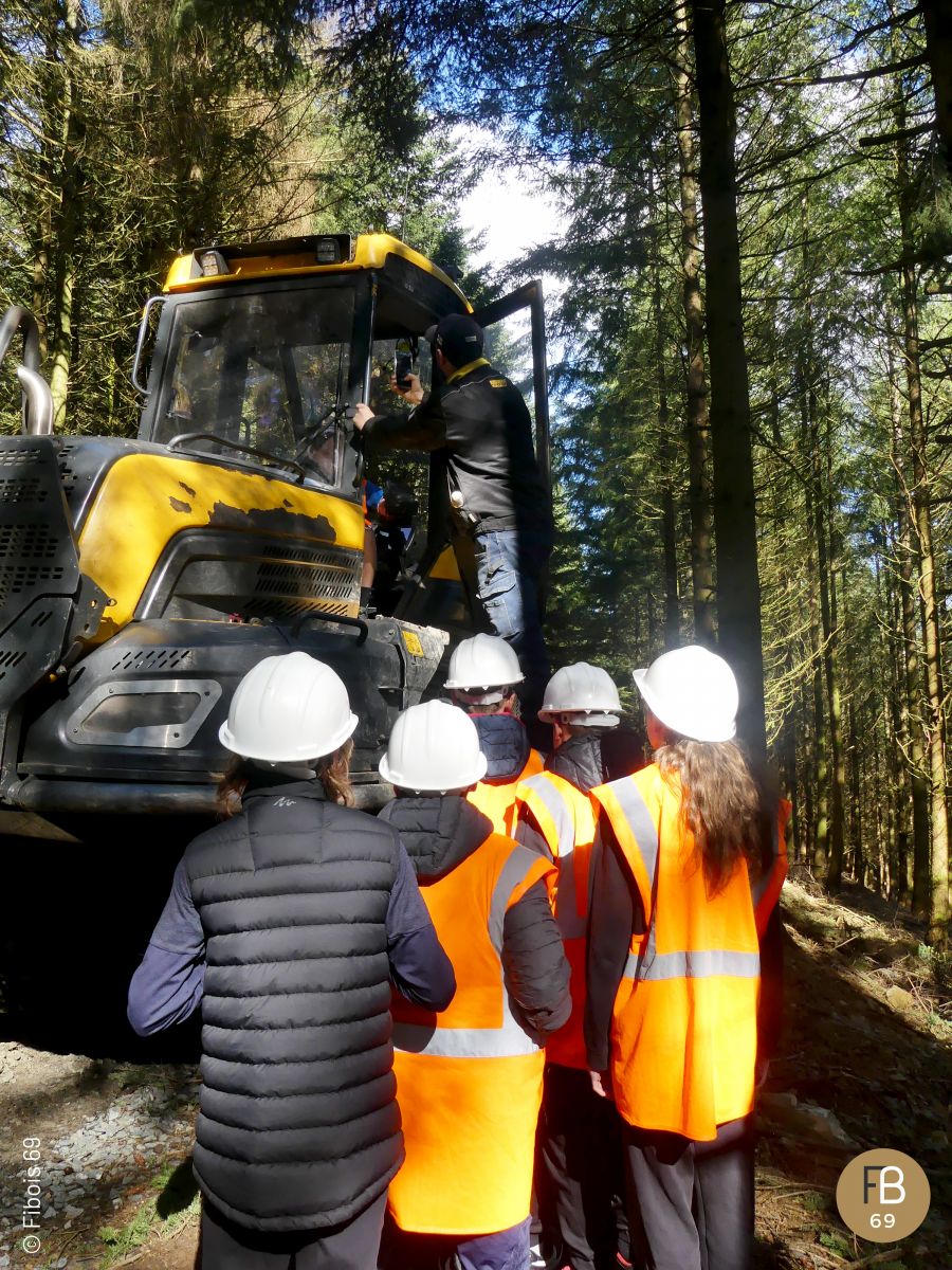 Chantier d'exploitation forestière - Forestière de Sarou