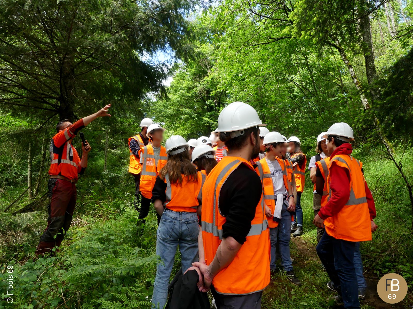 Exploitation forestière - Ginet Forêt