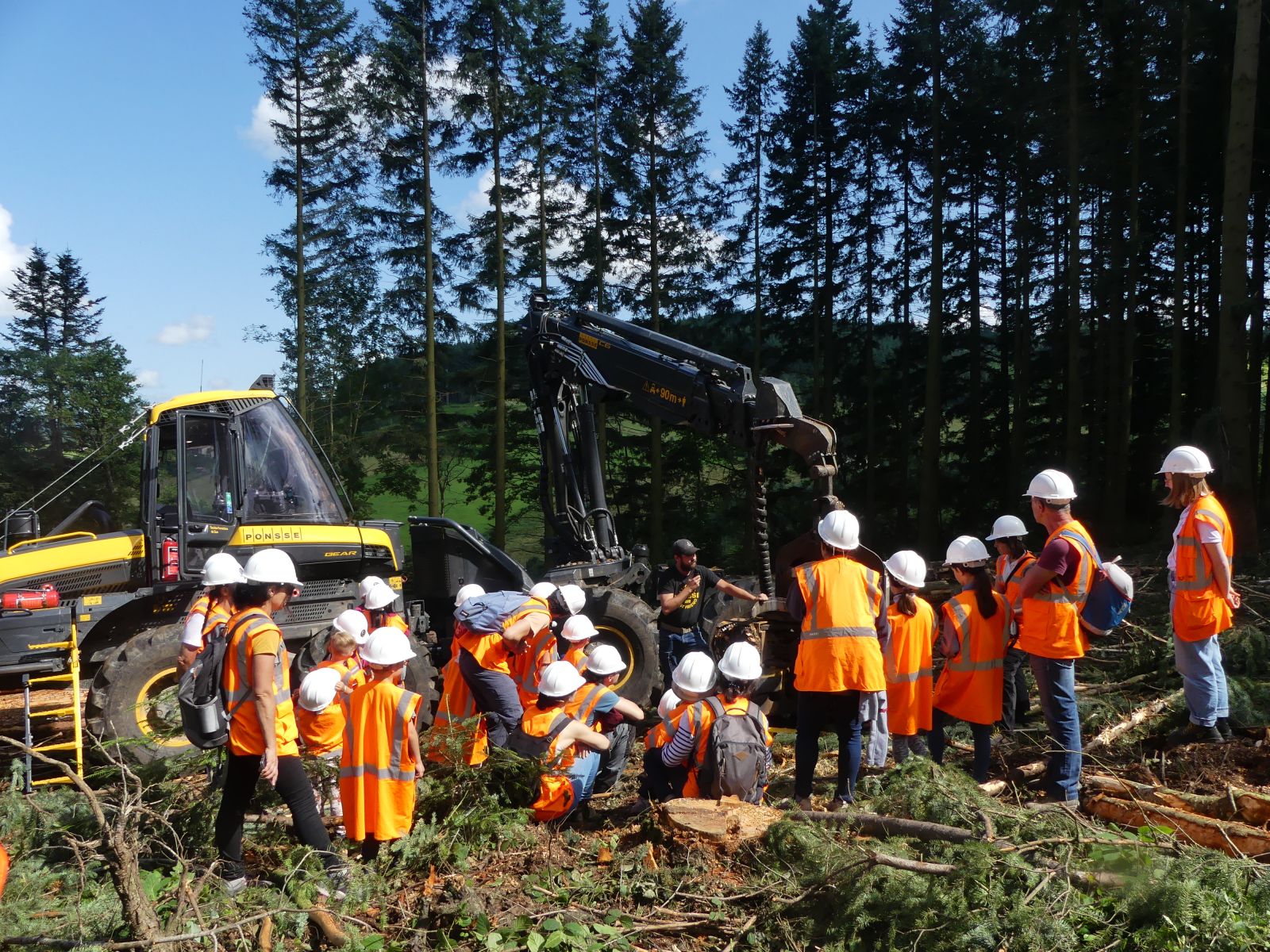 Juill 24 - Vis ma vie de bûcheron 