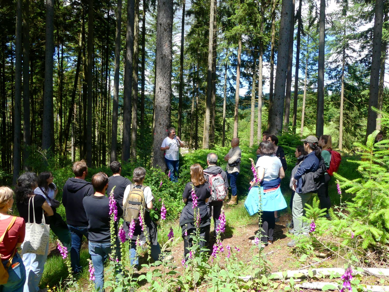Juin 24 - Formation "production forestière" pour des architectes