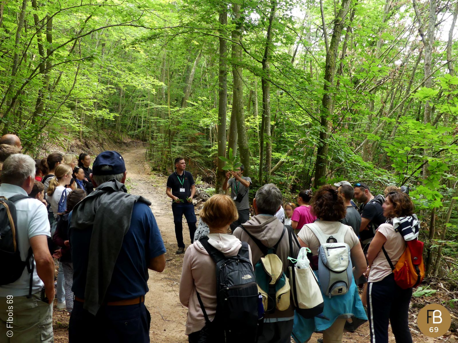 Juin 24 - Estivale des Forêts
