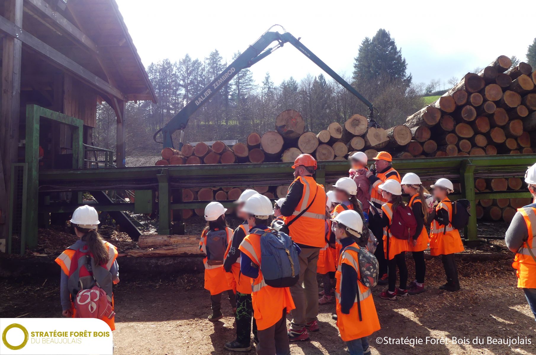 SCIERIE PROVVEDI INDUSTRIE - Groupe PLATTARD