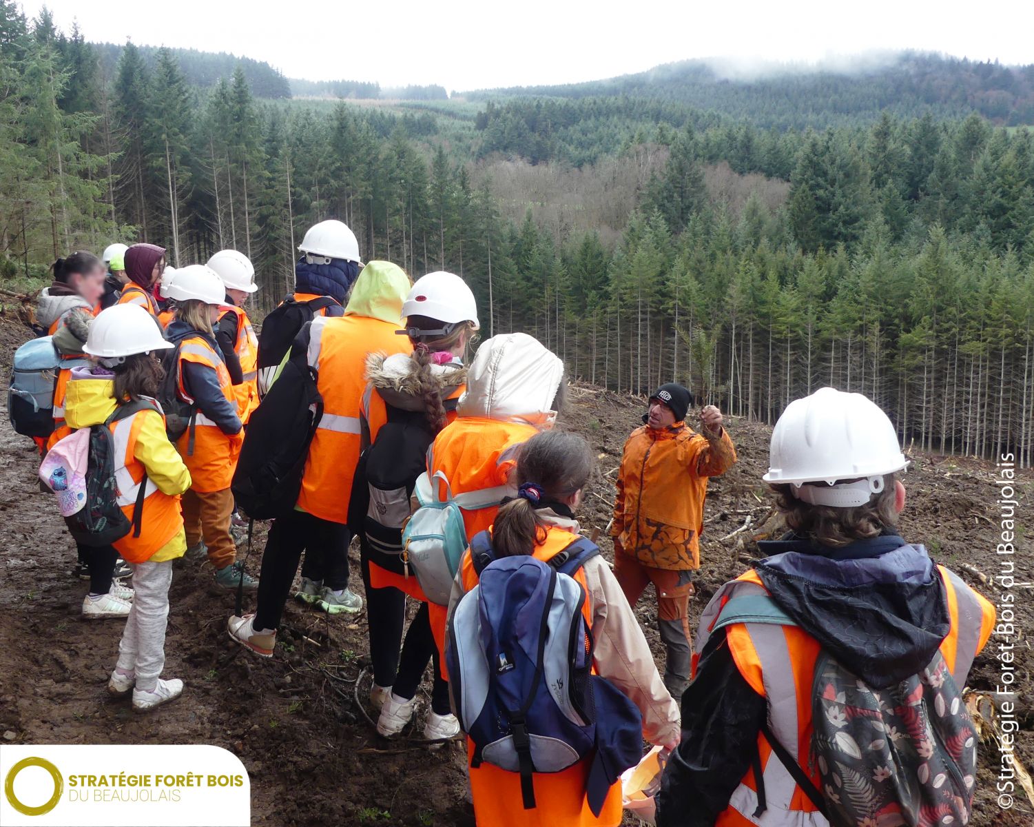 Visite et découverte de la sylviculture avec GINET FORET
