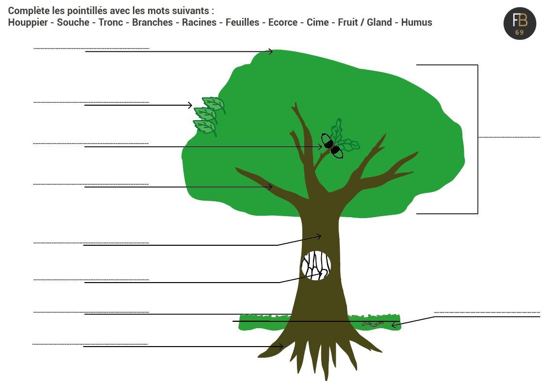 Compléter le schéma