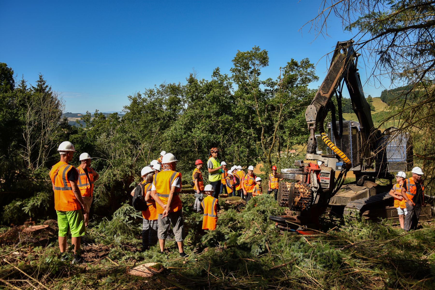 Visite du chantier d'abattage mécanisé - Vis ma Vie de Bûcheron - 8 Juillet 2020