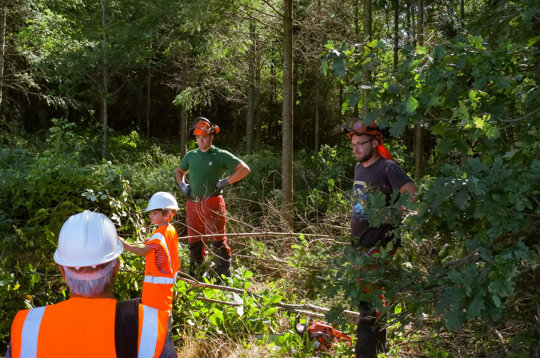 Explications du chantier de dépressage - Vis ma Vie de Bûcheron - 8 Juillet 2020