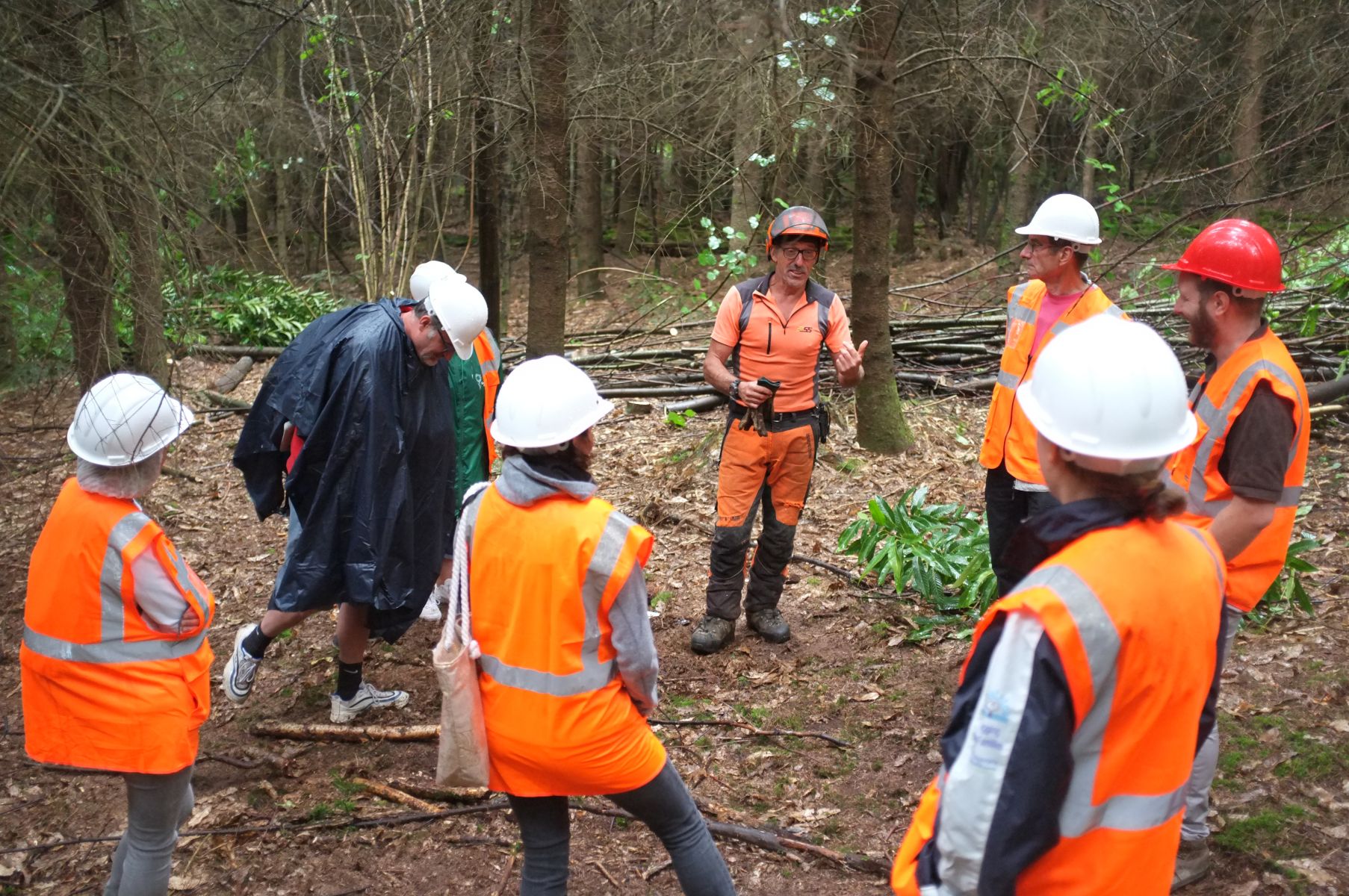Présentation du chantier de Sylviculture - Vis ma Vie de Bûcheron - 15 Juillet 2020