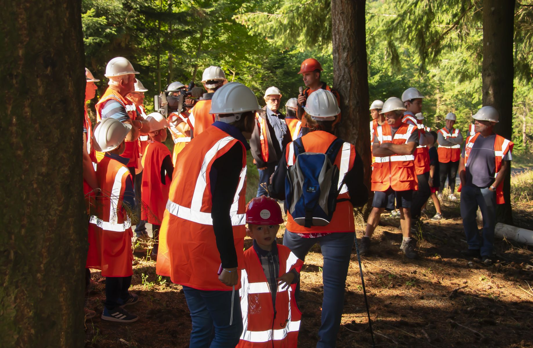 Présentation du chantier d’éclaircie - Vis ma Vie de Bûcheron - 5 Août 2020