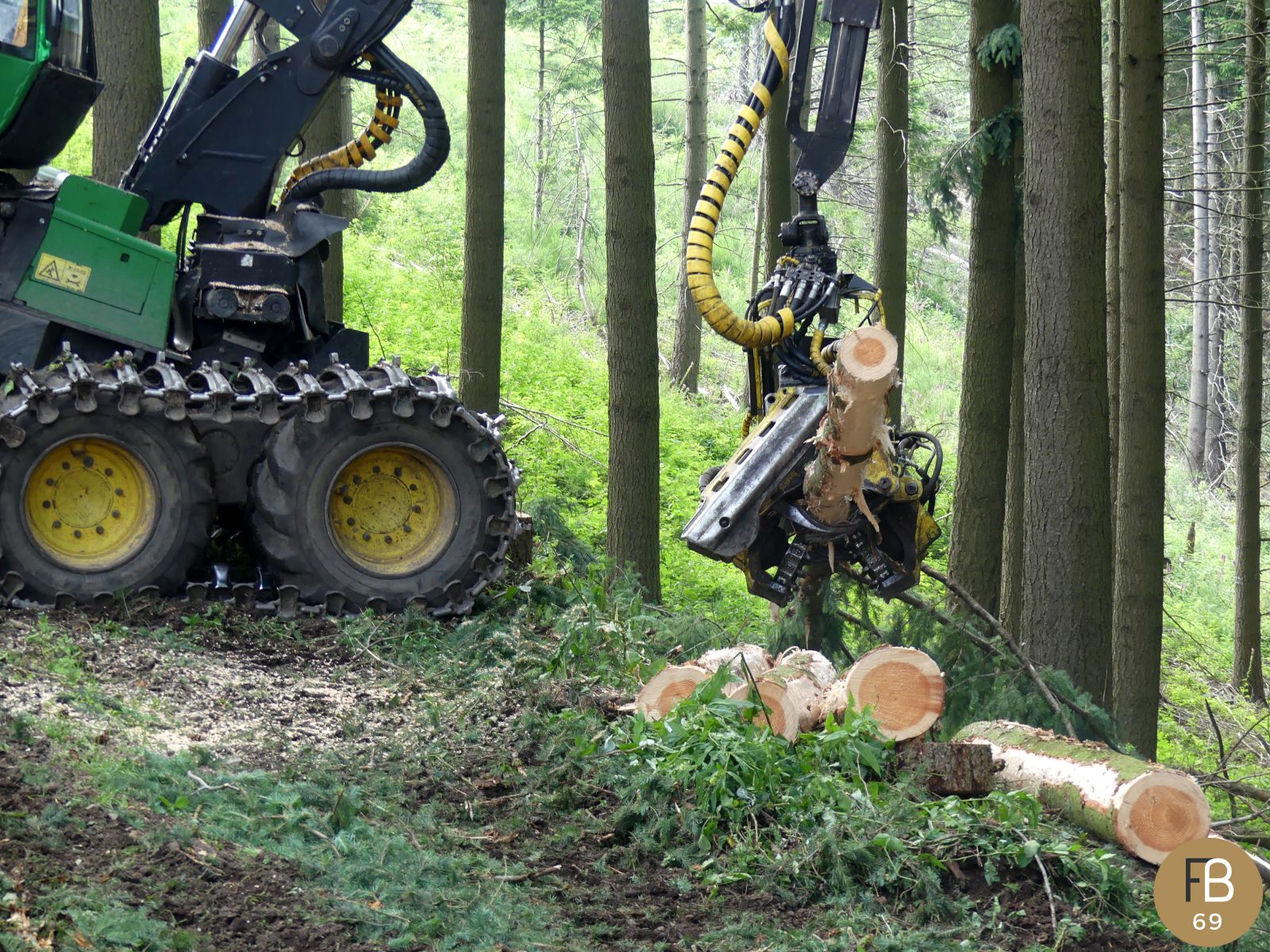 Visite chantier forestier