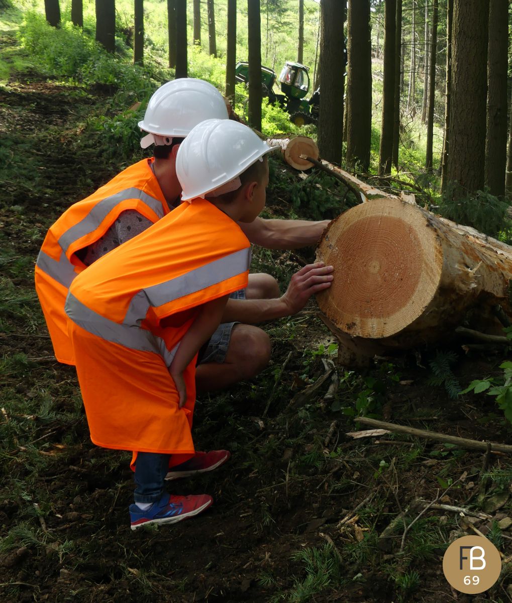 Visite chantier forestier