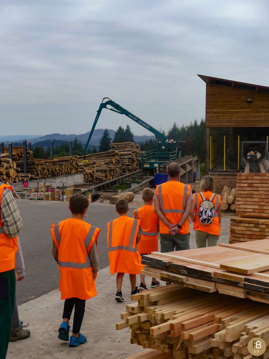 Visite d'une scierie