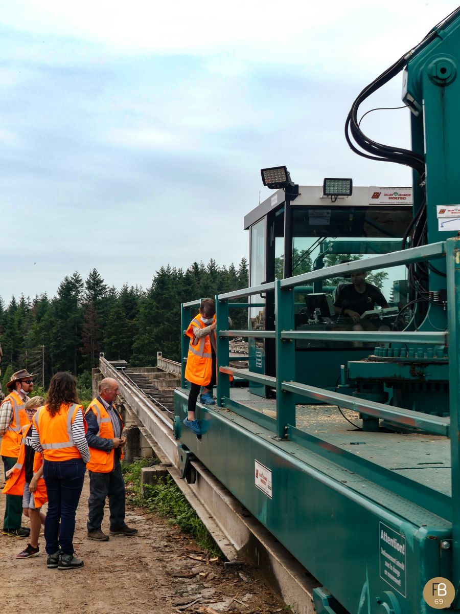 Visite d'une scierie