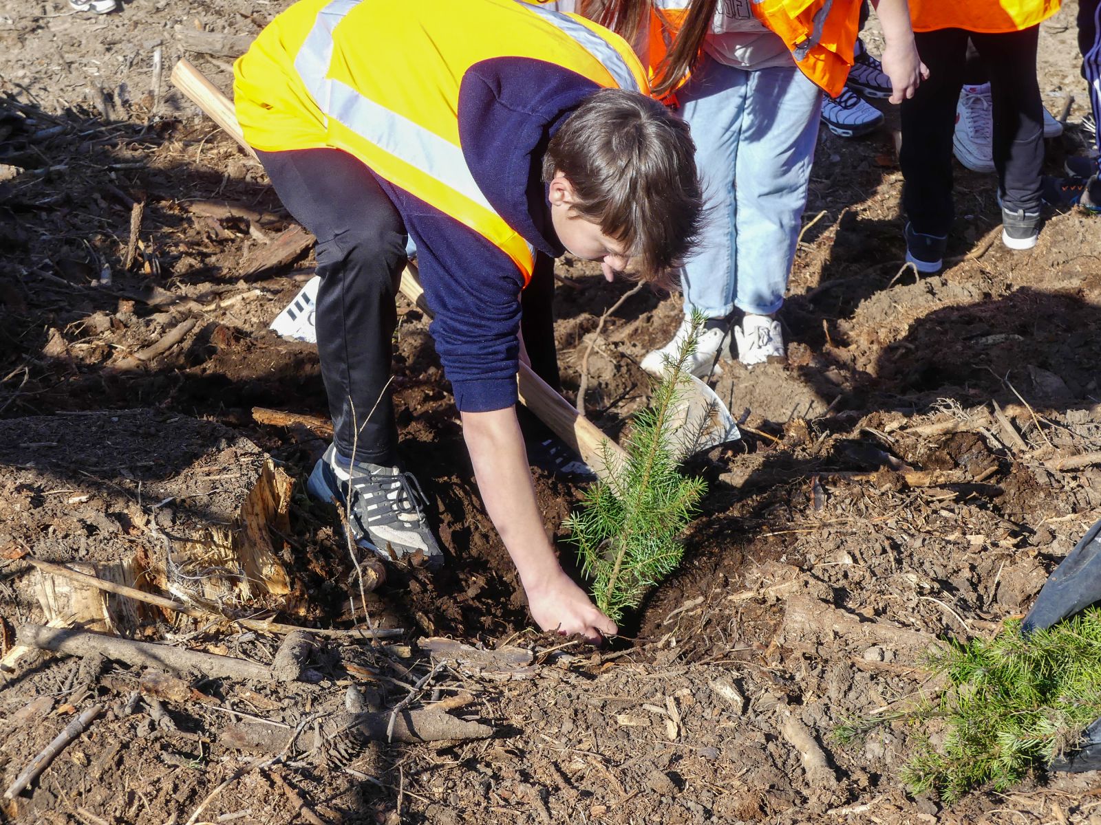 Visite d'un chantier de plantation