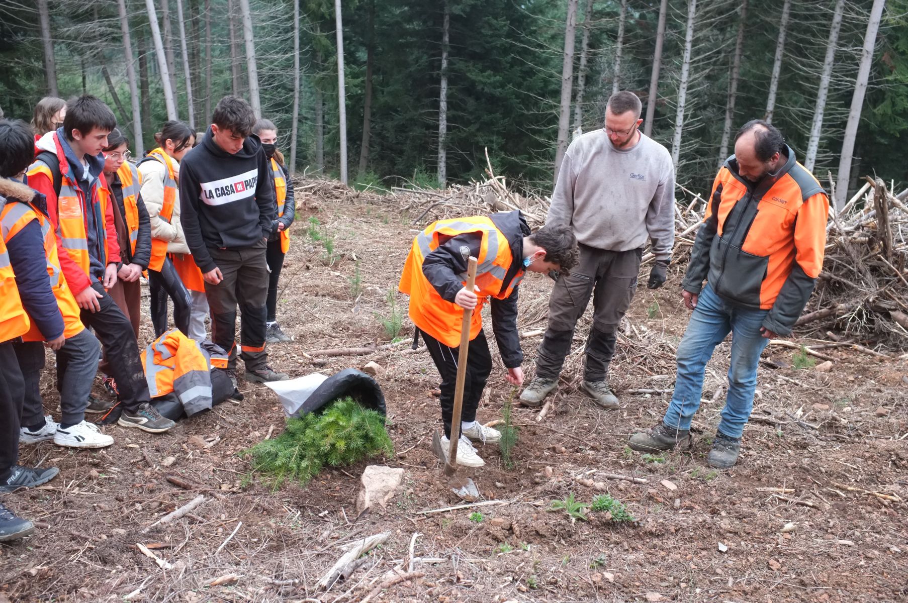 Visite d'un chantier de plantation