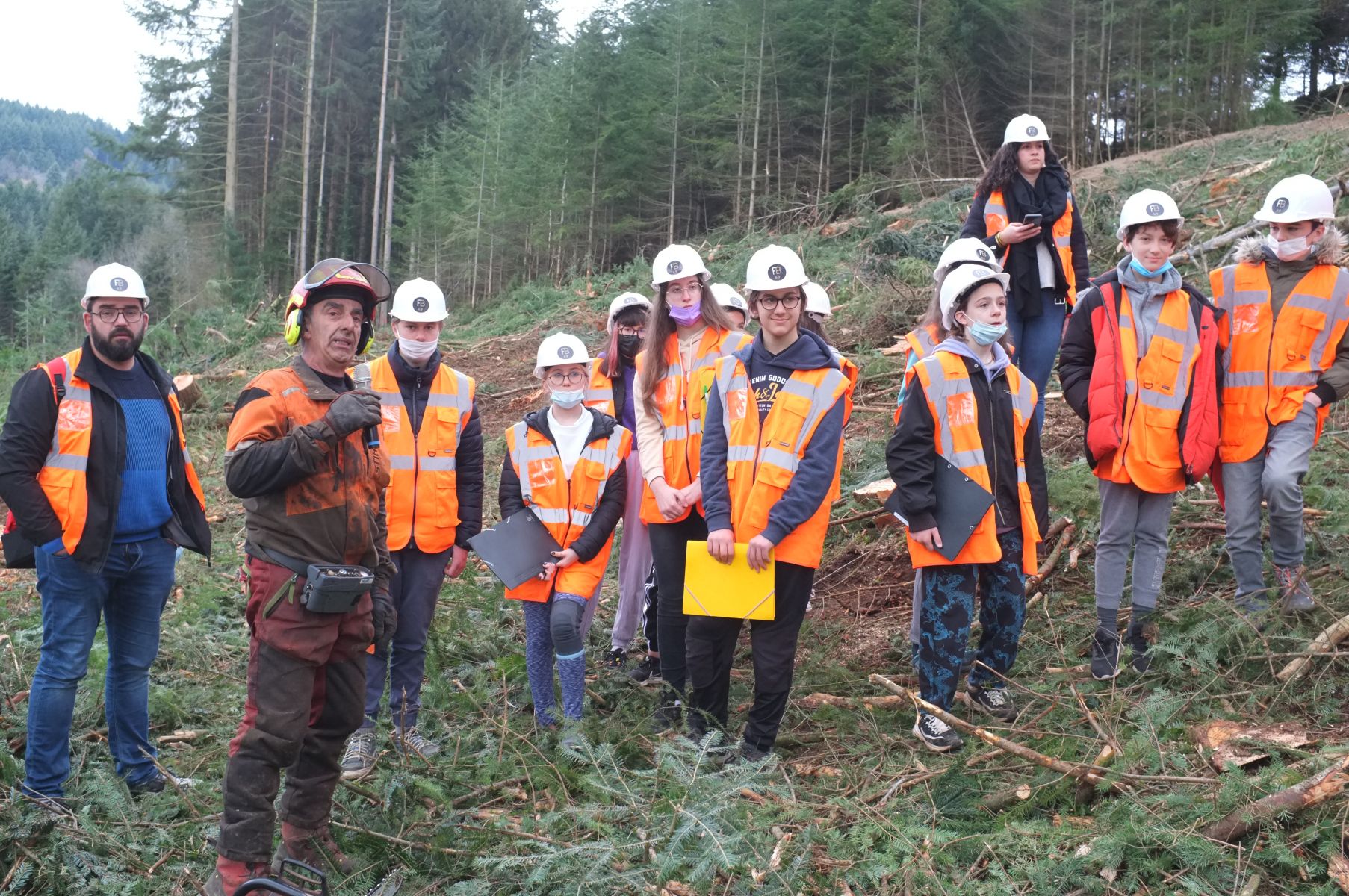 Visite d'un chantier d'exploitation forestière