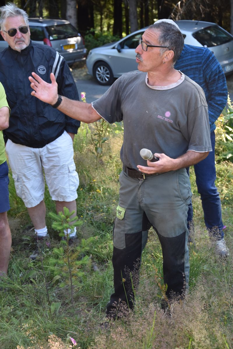 Explications Chantier Dégagement - Vis ma Vie de Bûcheron - 10 Juillet 2019