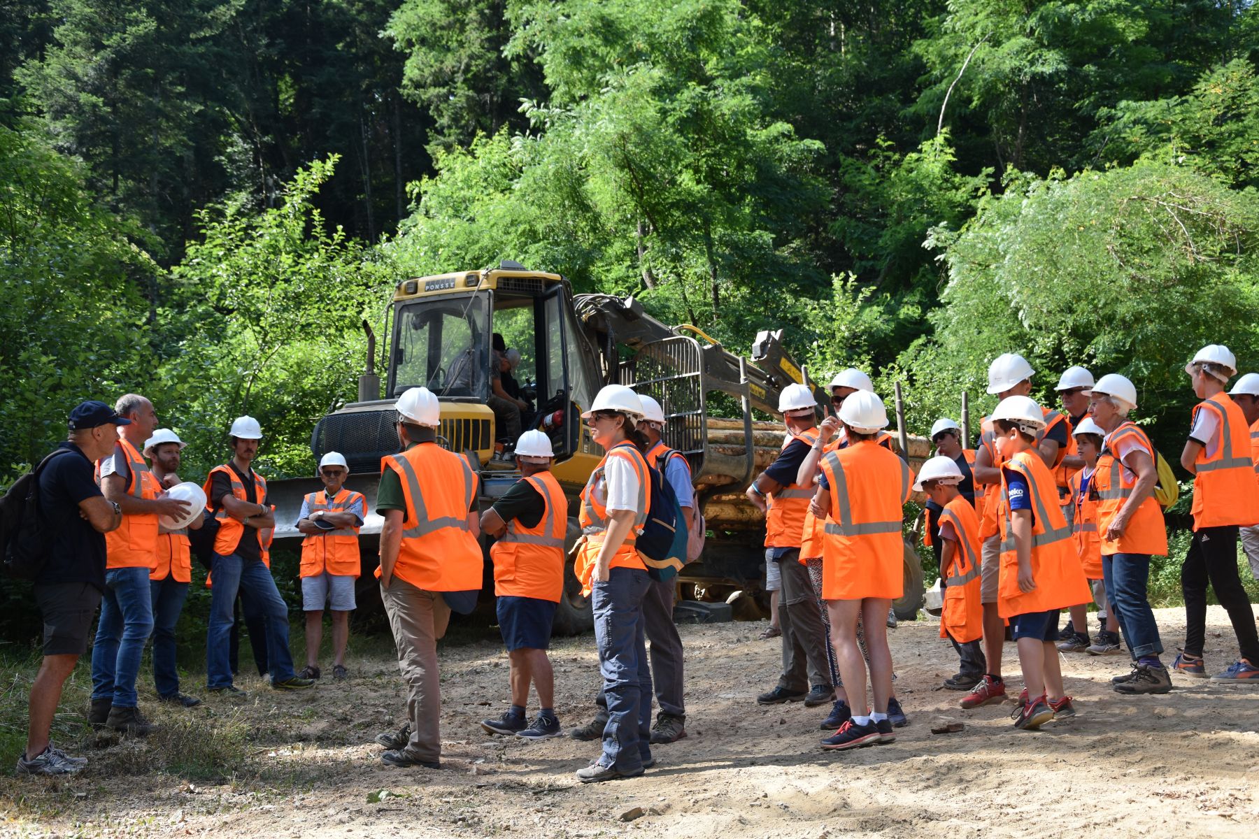 Visite Chantier d'abattage - Vis ma Vie de Bûcheron - 17 Juillet 2019