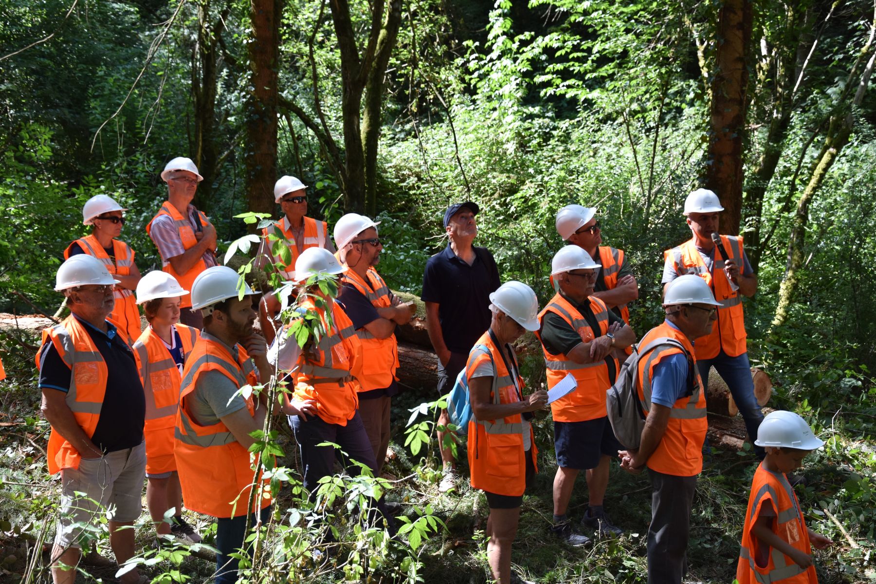 Explication du Chantier d'abattage - Vis ma Vie de Bûcheron - 17 Juillet 2019