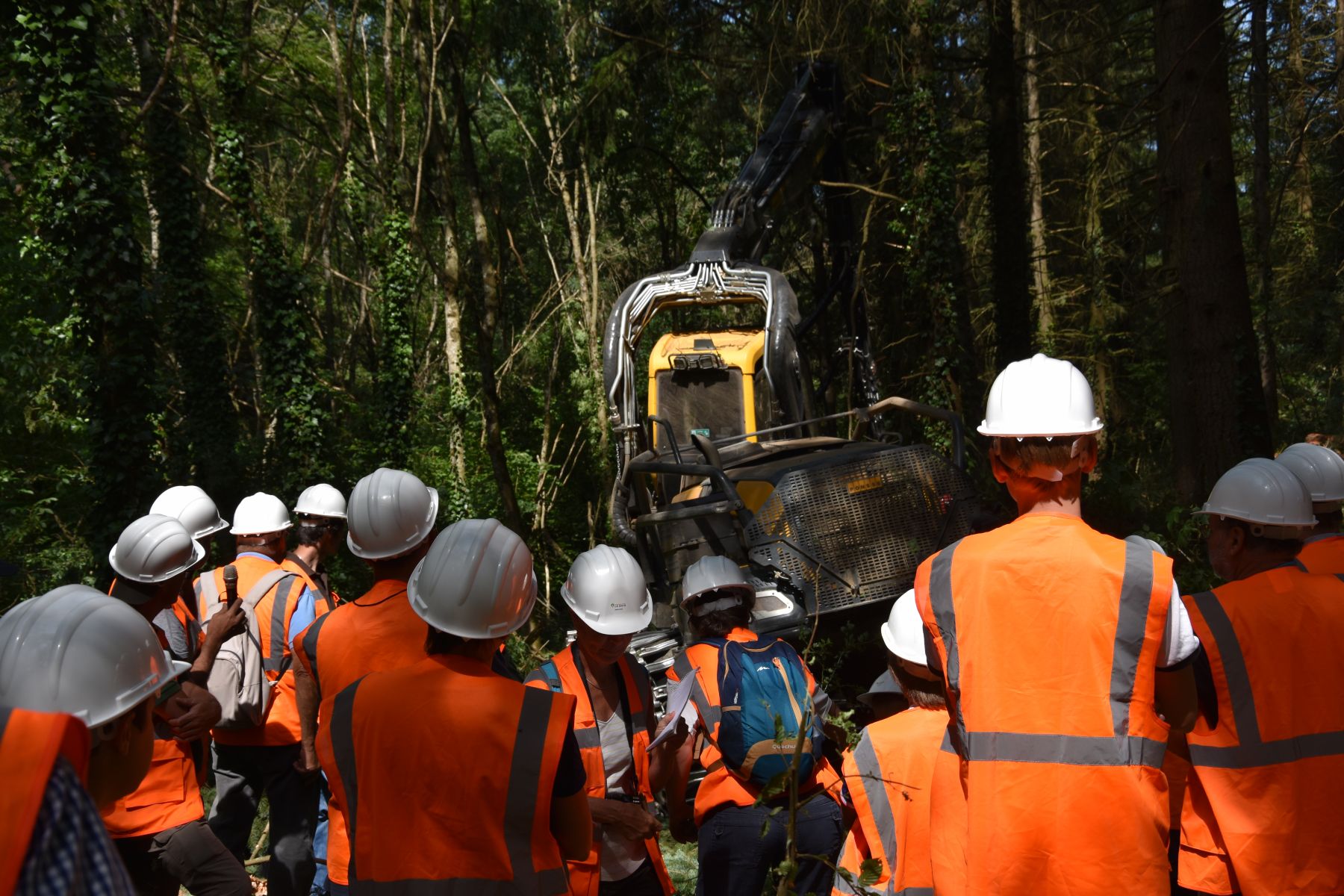 Démonstration sur le chantier d'abattage - Vis ma Vie de Bûcheron - 17 Juillet 2019