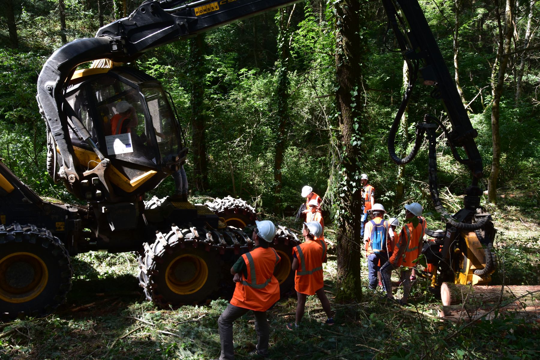Découverte de l'abatteuse - Vis ma Vie de Bûcheron - 17 Juillet 2019