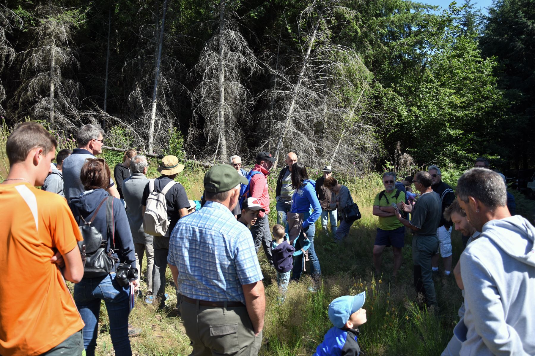Explications Chantier Dégagement - Vis ma Vie de Bûcheron - 10 Juillet 2019