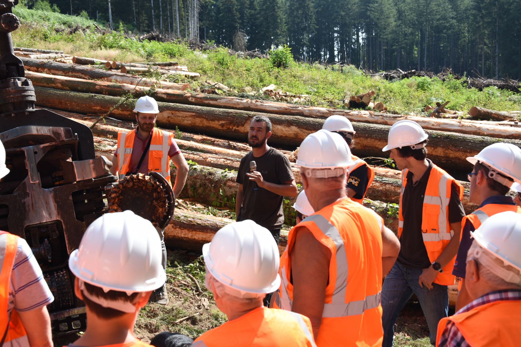 Explications Chantier Abattage définitif - Vis ma Vie de Bûcheron - 24 Juillet 2019