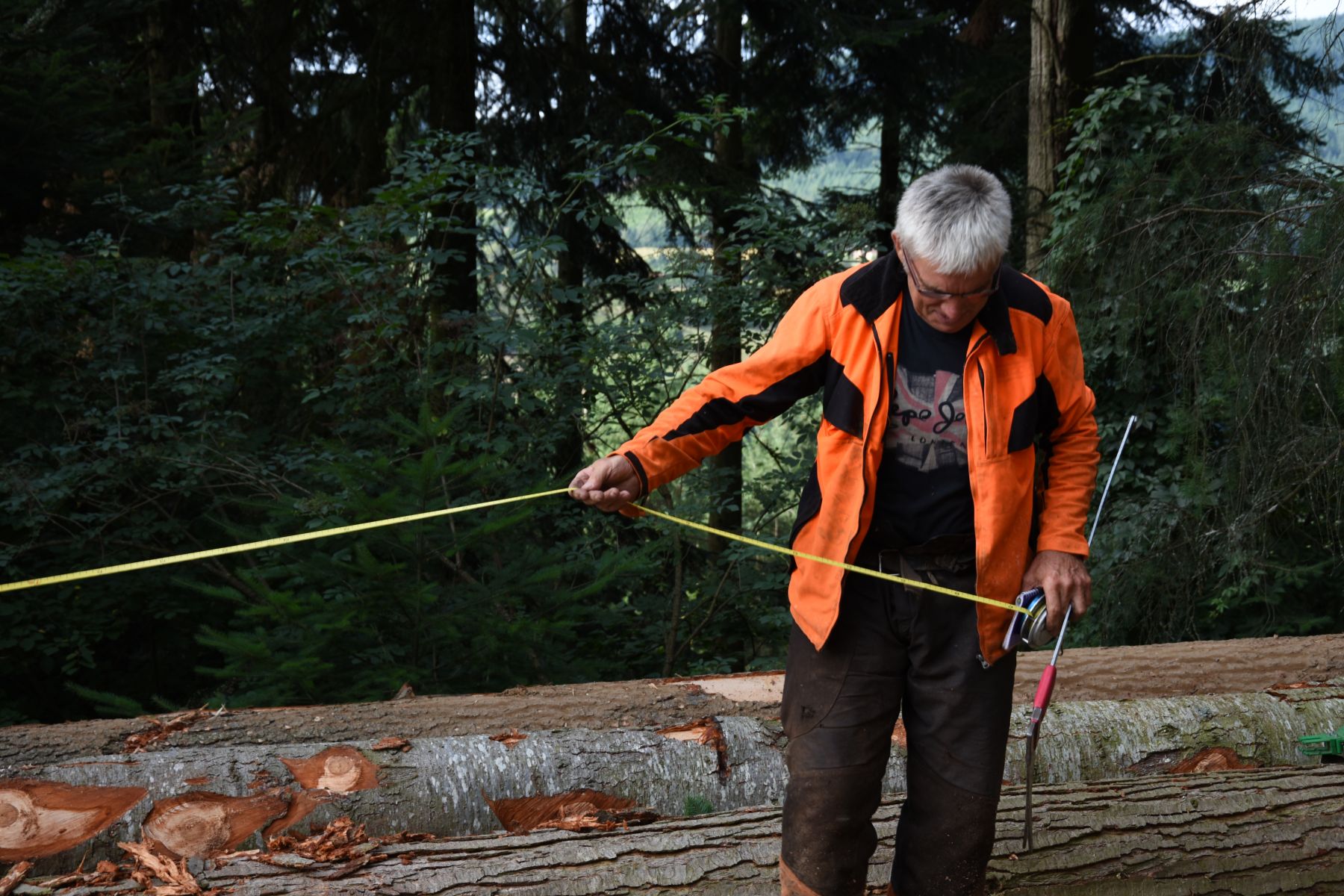 Démonstration du cubage des bois - Vis ma Vie de Bûcheron - 31 Juillet 2019