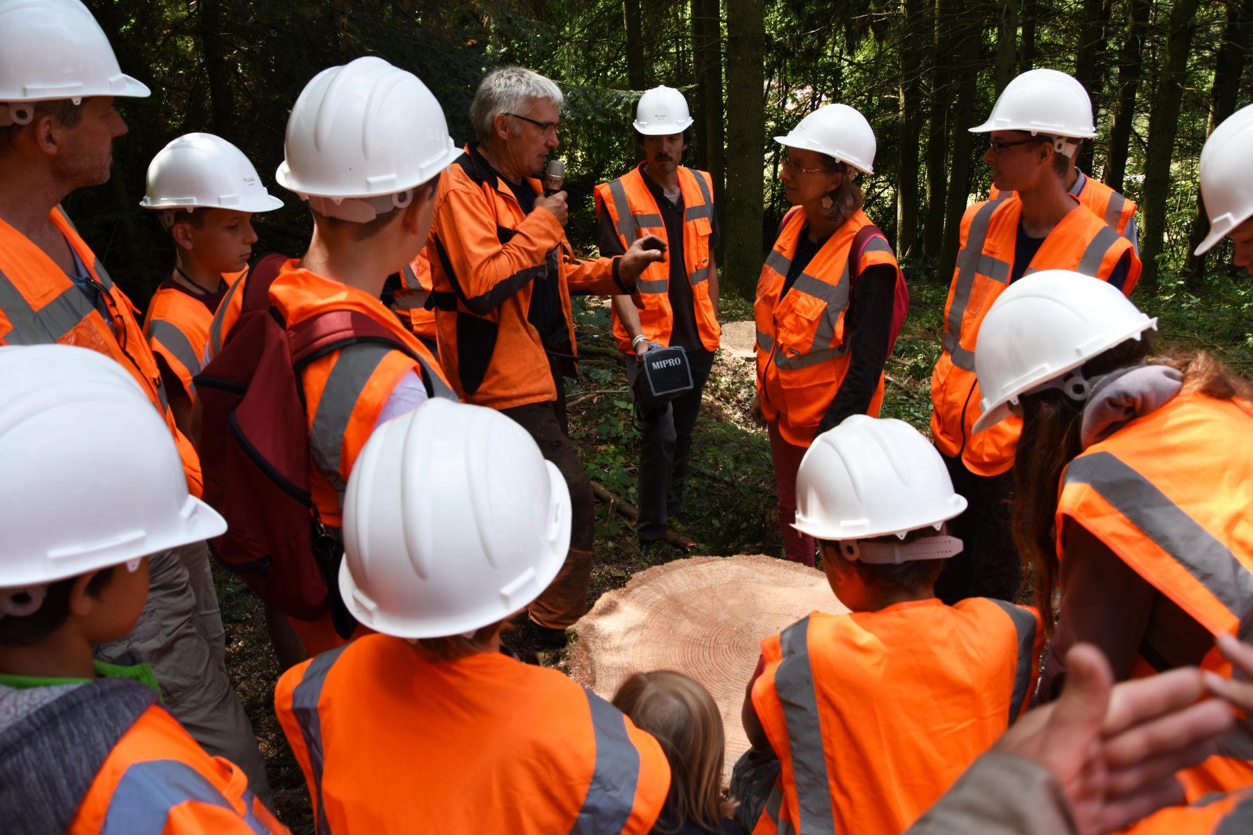 Explications sur la technique d'abattage manuel- Vis ma Vie de Bûcheron - 31 Juillet 2019