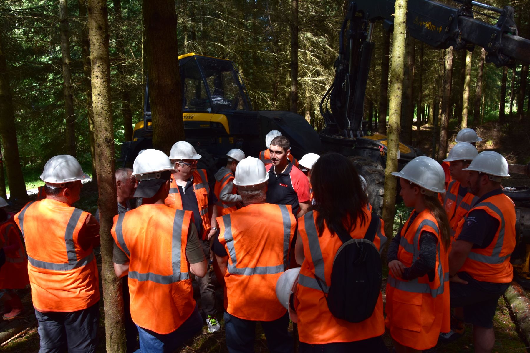 Échanges avec le professionel sur son métier - Vis ma Vie de Bûcheron - 8 Août 2019