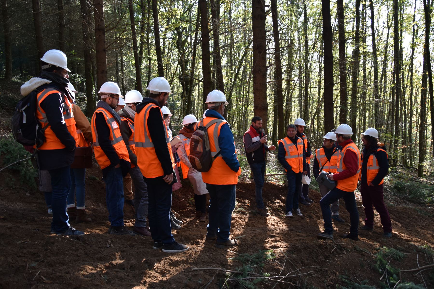 Gestion et exploitation forestière: Visite de chantier