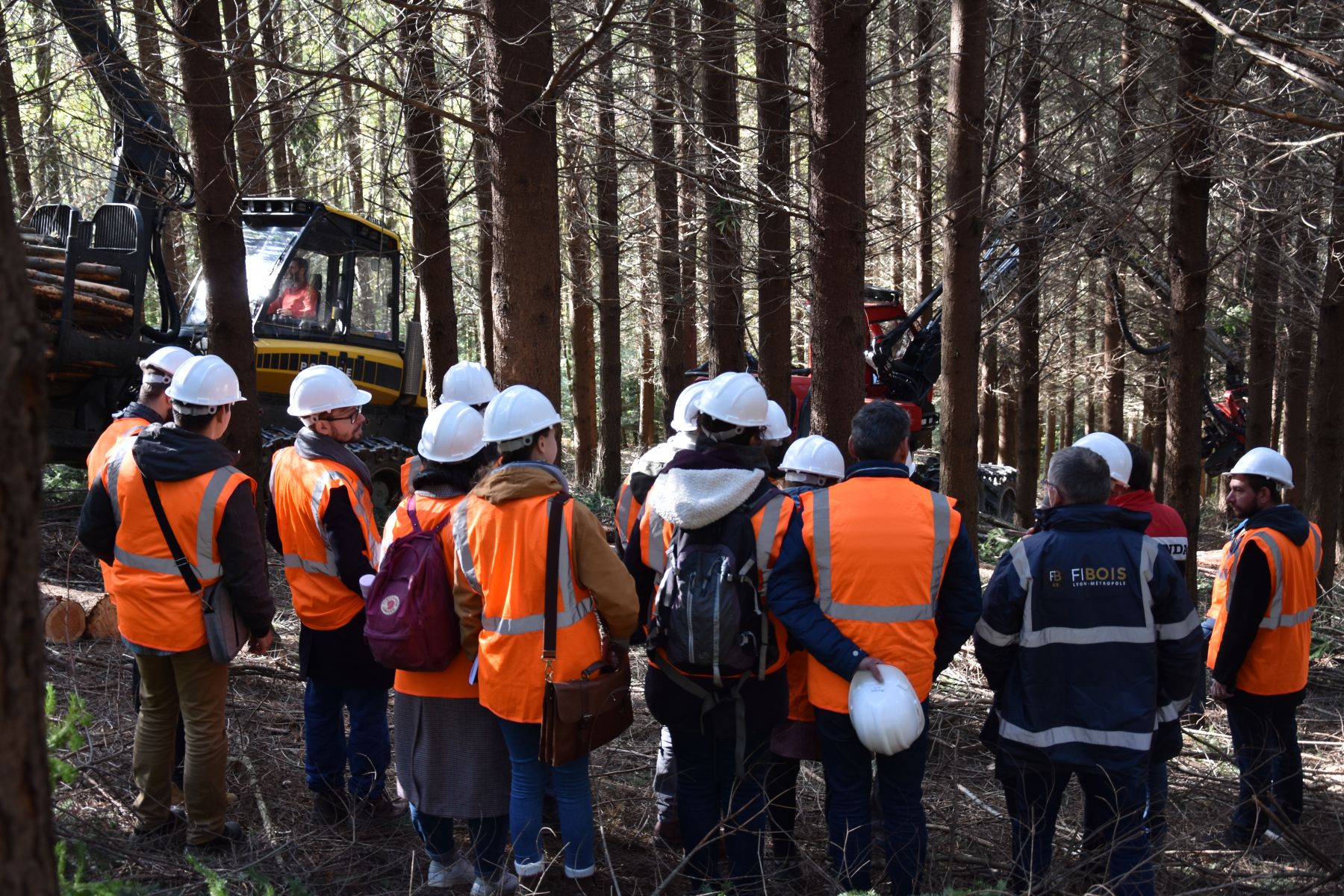 Gestion et exploitation forestière: Visite de chantier