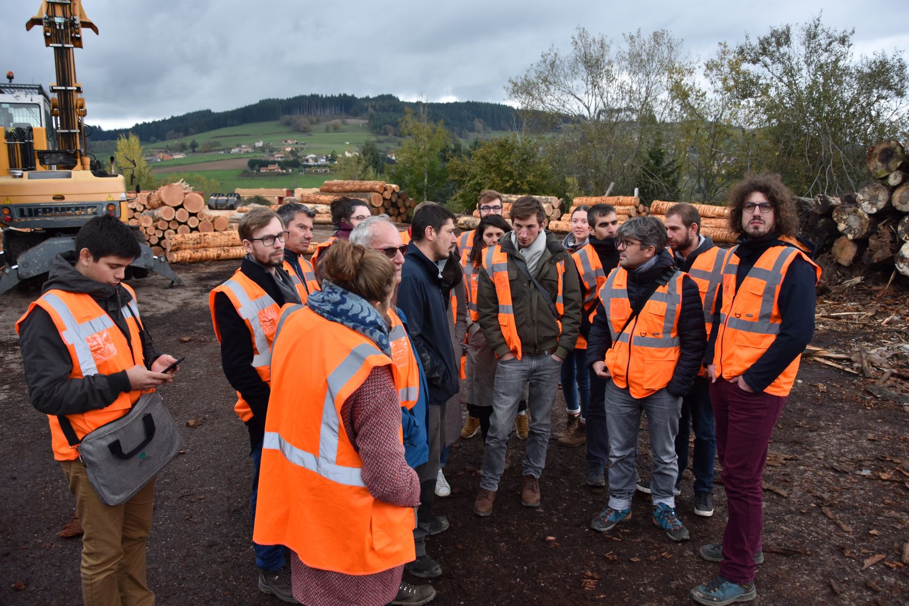 Transformation du bois: Visite de scierie de gros bois
