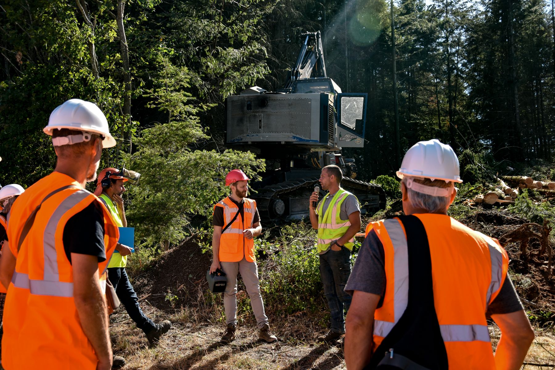 Présentation du chantier d'abattage mécanisé - Vis ma Vie de Bûcheron - 8 Juillet 2020