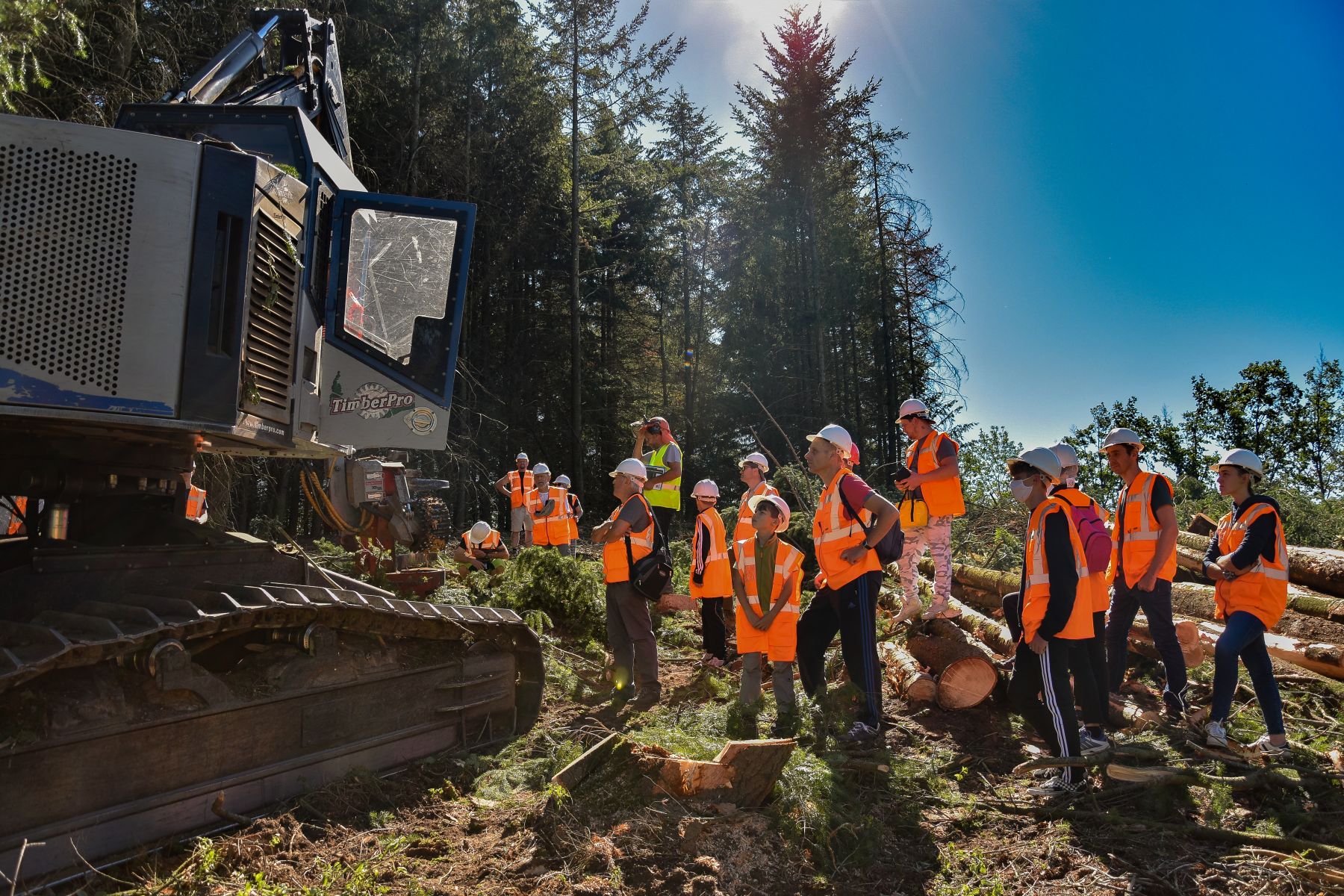 Découverte de l'abatteuse - Vis ma Vie de Bûcheron - 8 Juillet 2020
