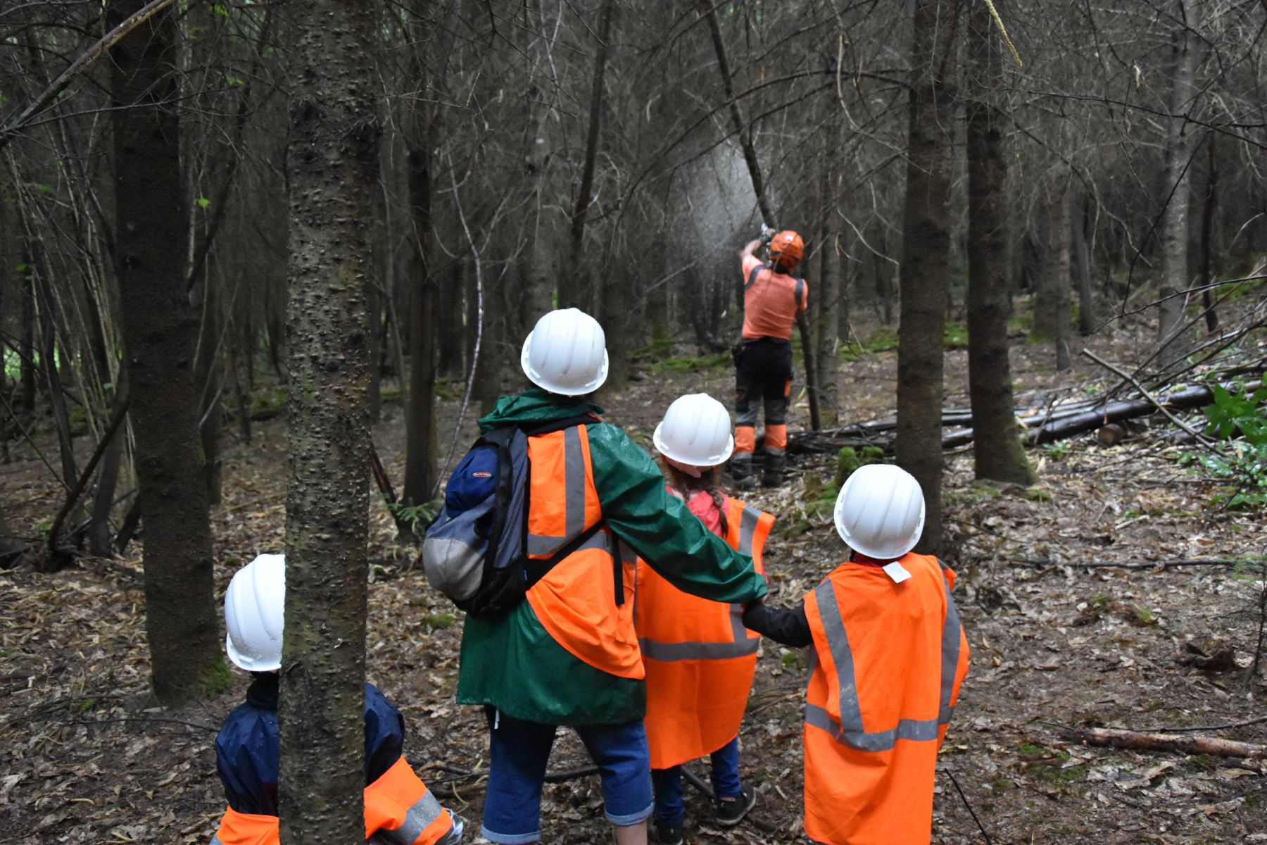 Démonstration du travail effectué - Vis ma Vie de Bûcheron - 15 Juillet 2020