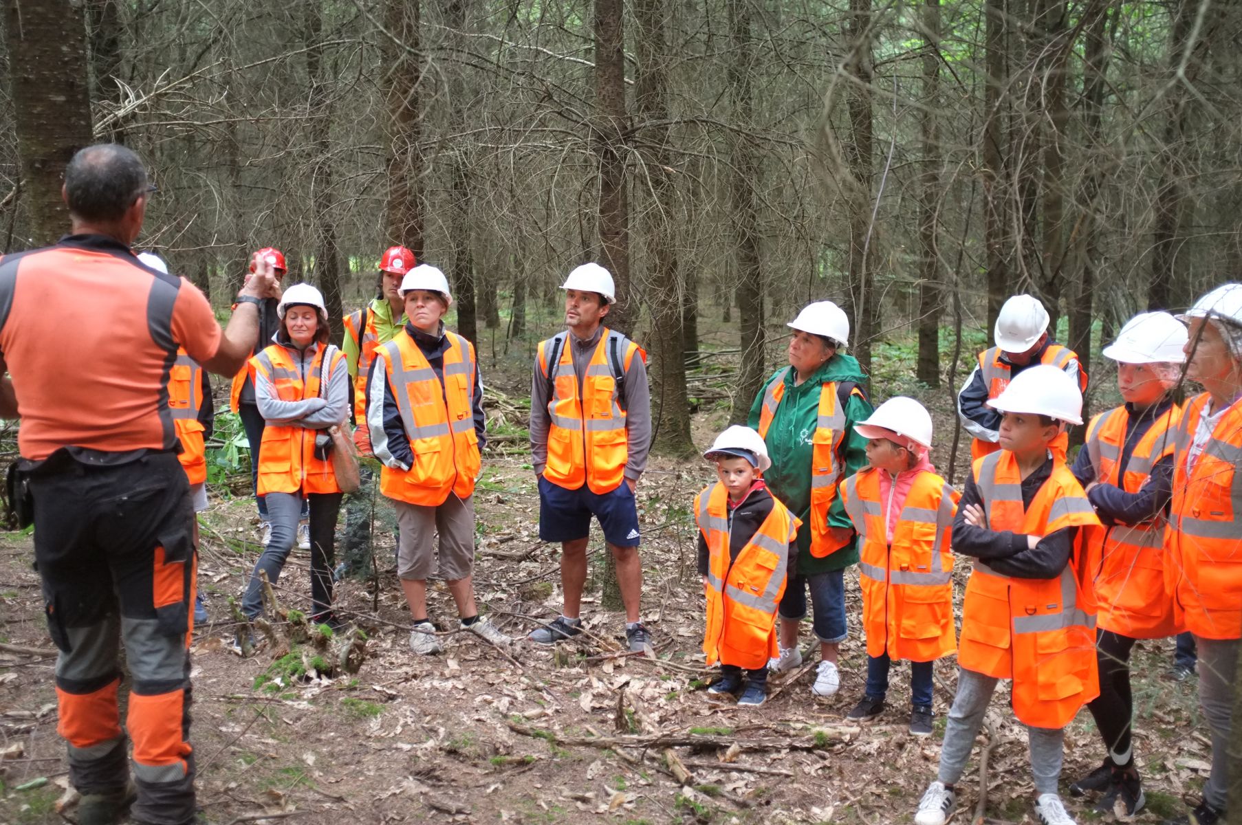 Échanges avec le sylviculteur- Vis ma Vie de Bûcheron - 15 Juillet 2020