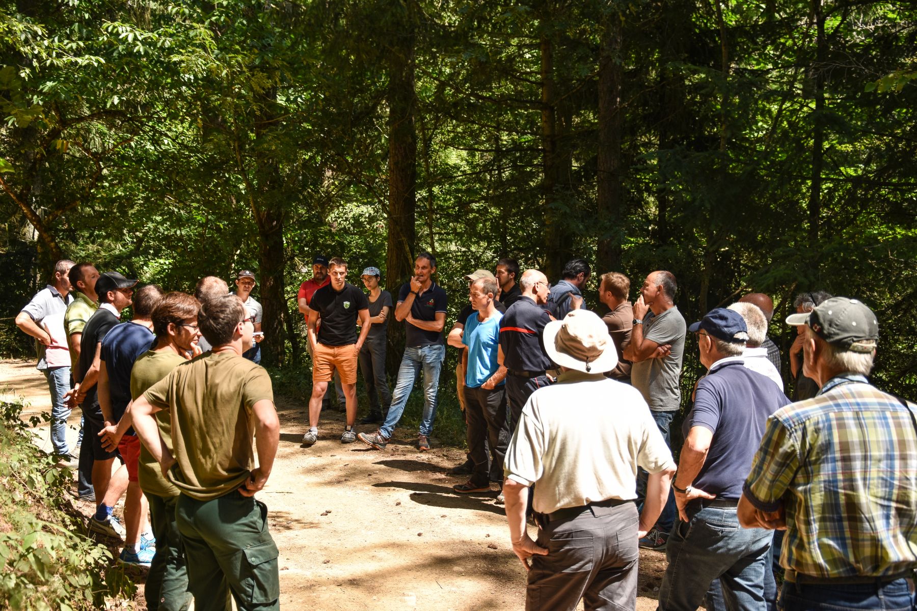 Visite d'une parcelle de Cèdre