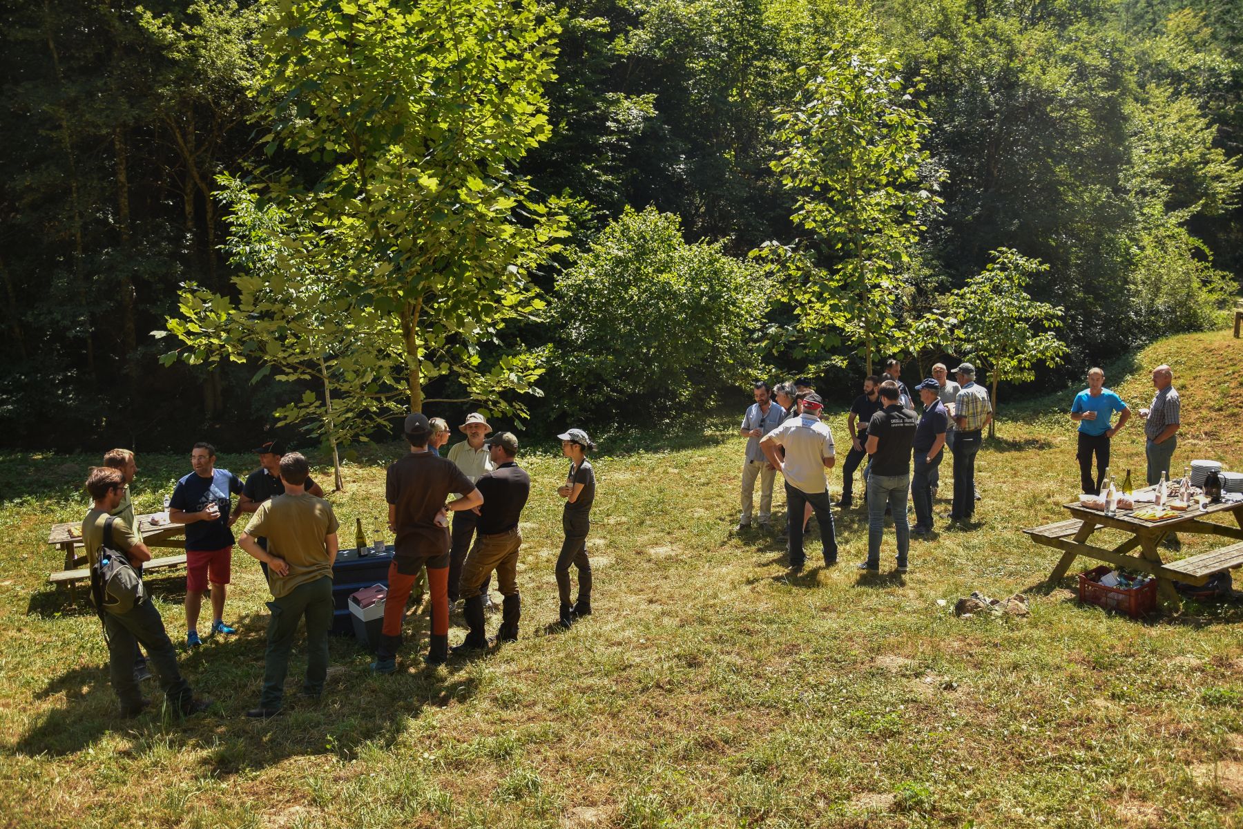 Casse croûte forestier