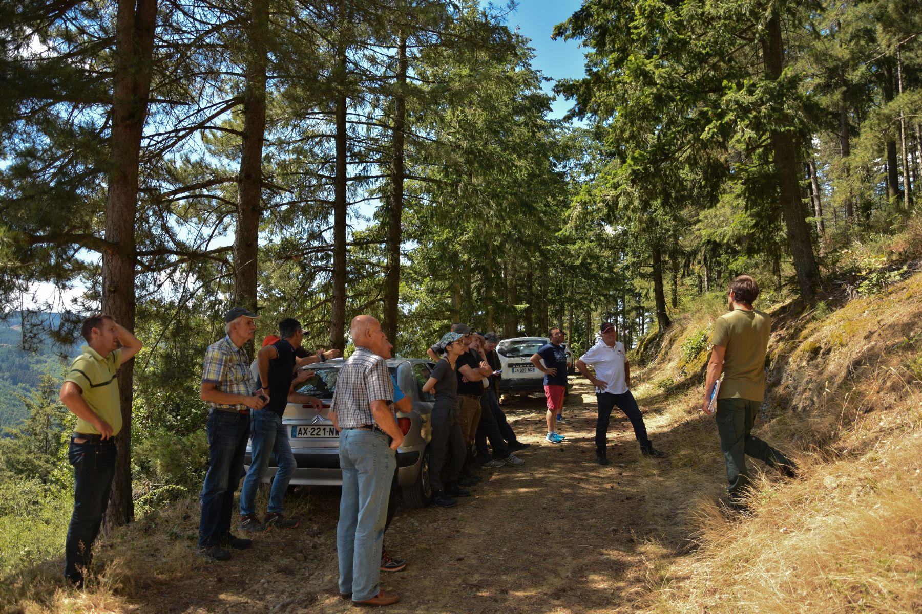 Visite d'une parcelle de Pin Laricio