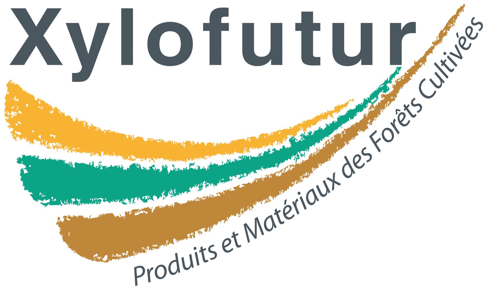 Xylofutur