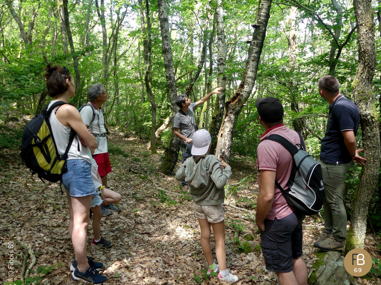 Printemps des Forêts 2023