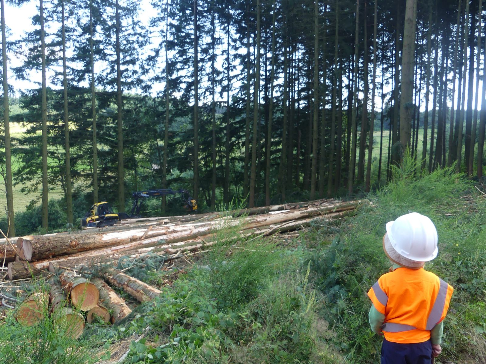 17/07/2024 | Avec la Société Forestière de Dun et Fransylva
