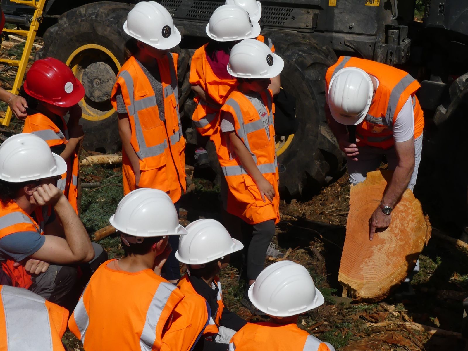 17/07/2024 | Avec la Société Forestière de Dun et Fransylva