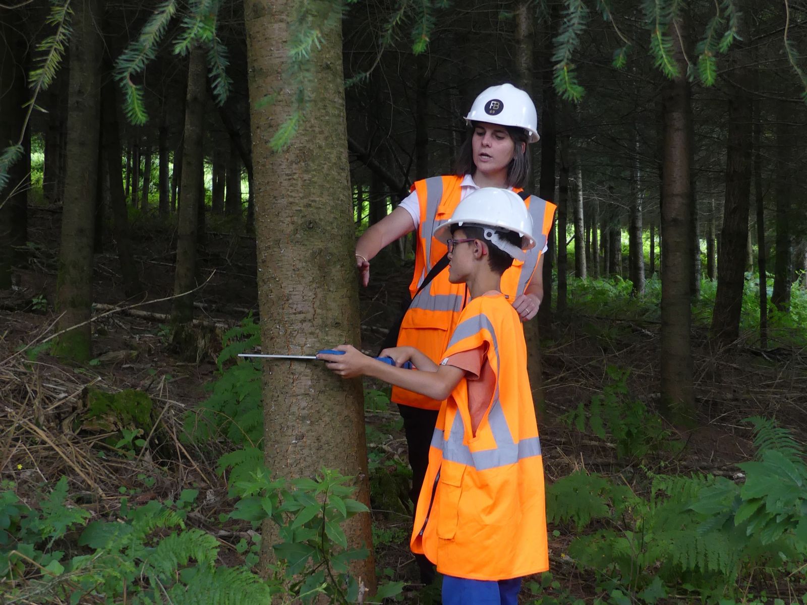 17/07/2024 | Avec la Société Forestière de Dun et Fransylva