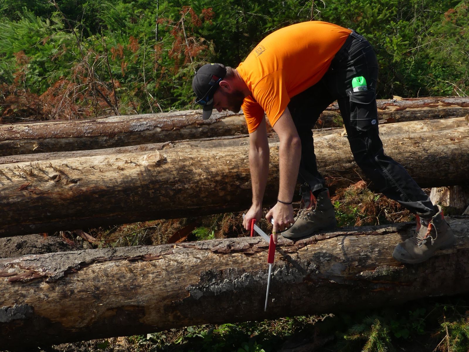 31/07/2024 | Avec l'Exploitation Forestière Recorbet Fils et Fransylva