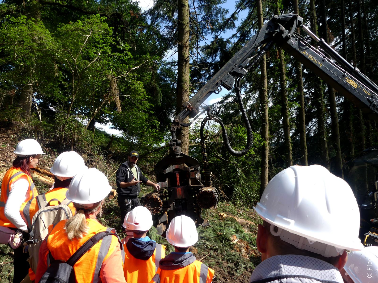 entreprise Forestière du Dun