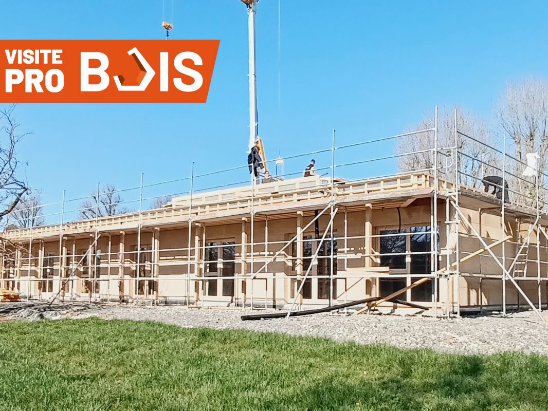 visite-pro-bois-mixite-pierre-bois