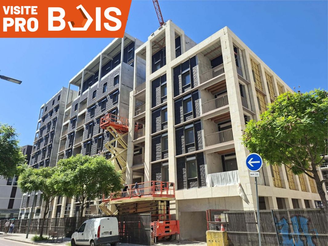 visite-pro-bois-construction
