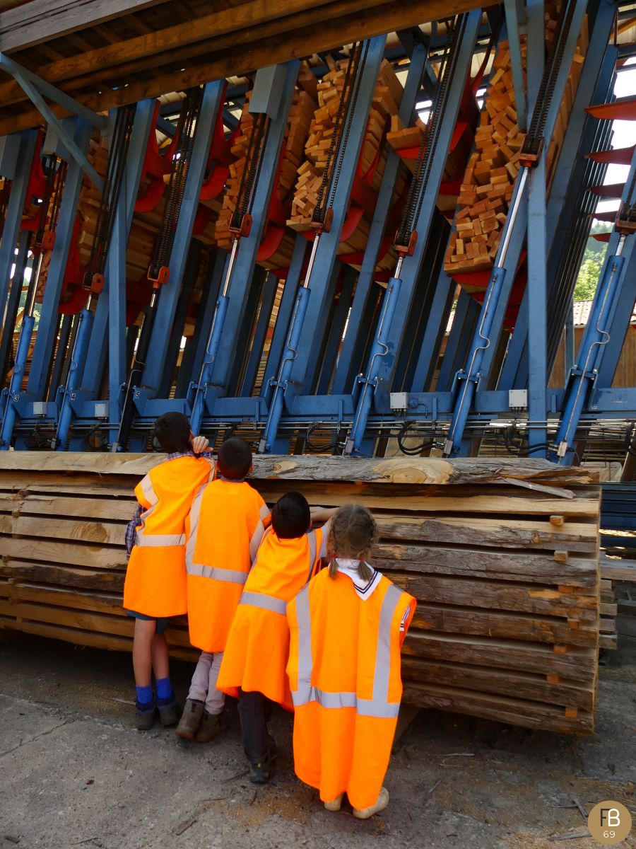 Vis ma Vie dans la filière bois - 2021