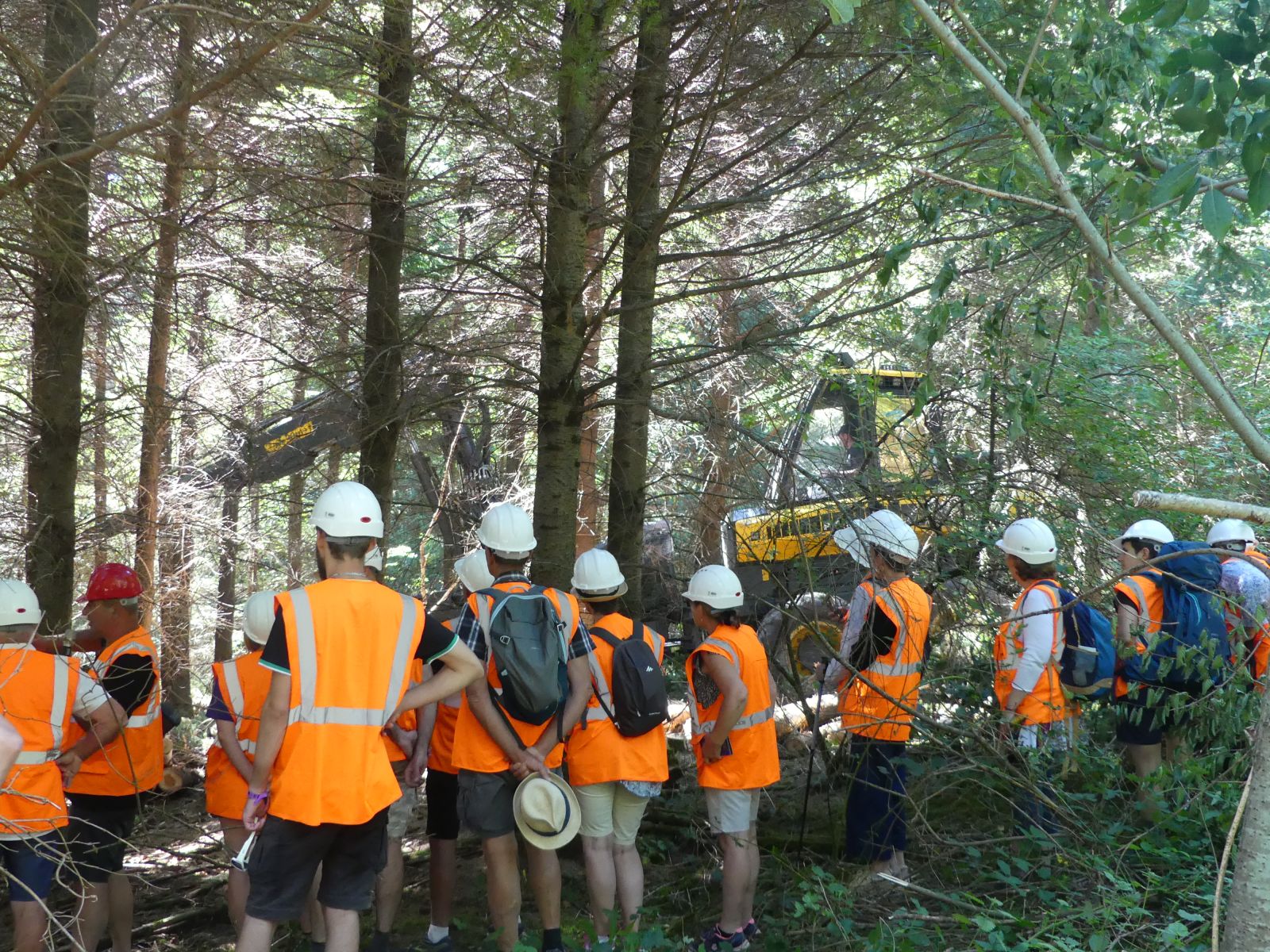 Vis ma Vie de Bûcheron - 2022